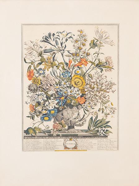  ROBERT FURBER - Colección de 12 grabados de flores y frutas con los meses del año