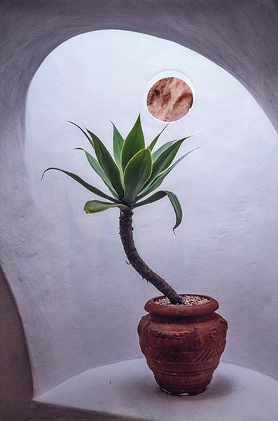 TIM PARCHIKOV - Lanzarote. Nazaret from the Barriers of Vission project