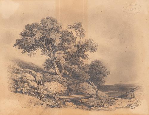  CARLOS DE HAES - Paisaje