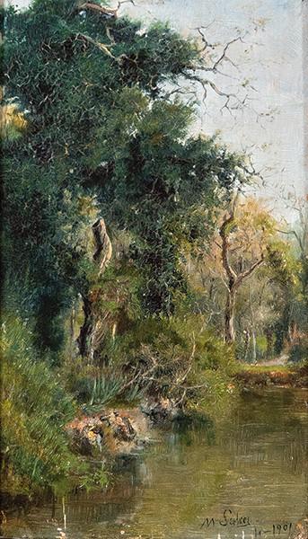  MANUEL SALCES - Paisaje fluvial