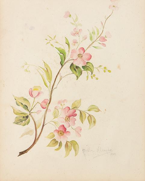  JULIA ALCAYDE MONTOYA - Flores