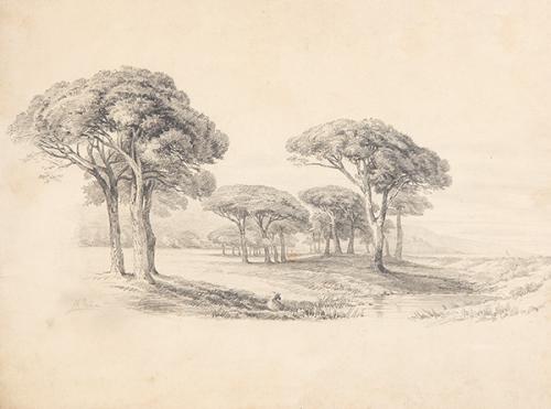  MAXIMINO PEÑA MUÑOZ - Paisaje