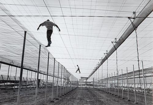  SEBASTIAO SALGADO - Serie Éxodos. Almería
